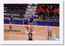 Set 2 * (216 Slides)